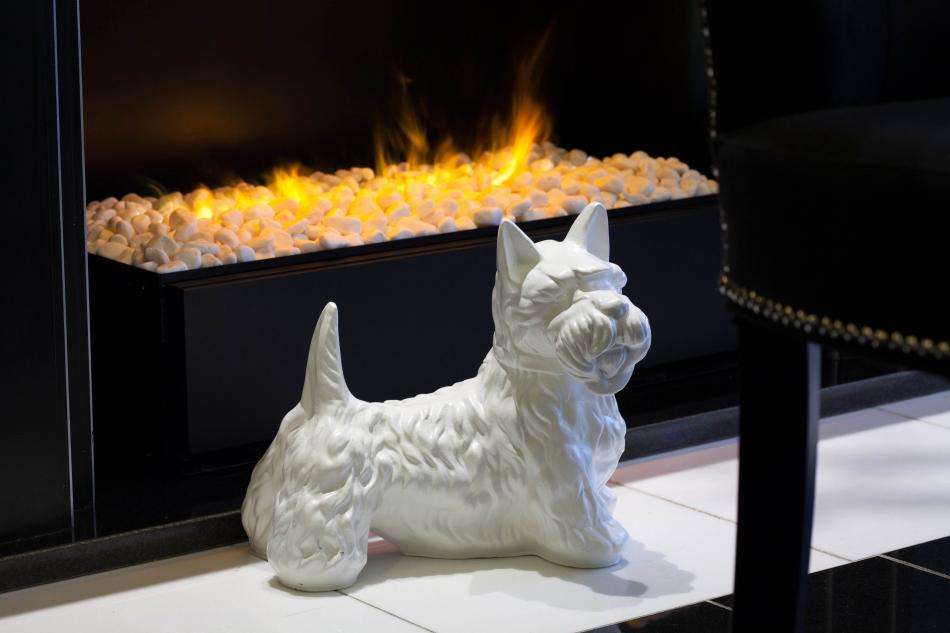 Petit Madeleine - Photos